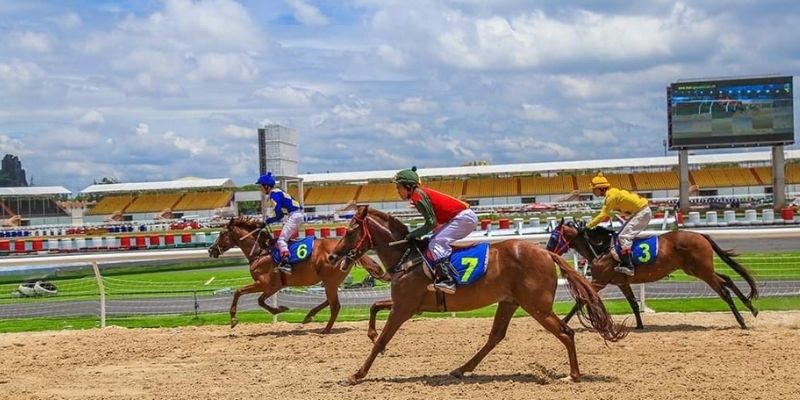 Luật chơi trong game đua ngựa 789Club rất đơn giản